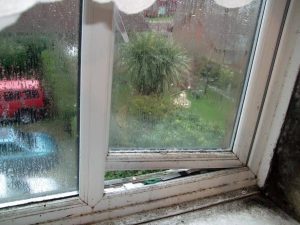 Derry Damp Co   Services   condensation treatments