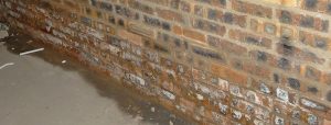 Derry Damp Co   Services   rising damp banner image