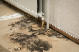 recent project for damp proofing in lake-district